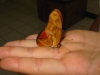 Belize 017